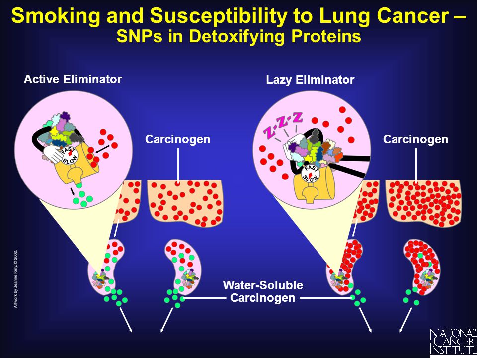 Smoking cancer and active stimulant
